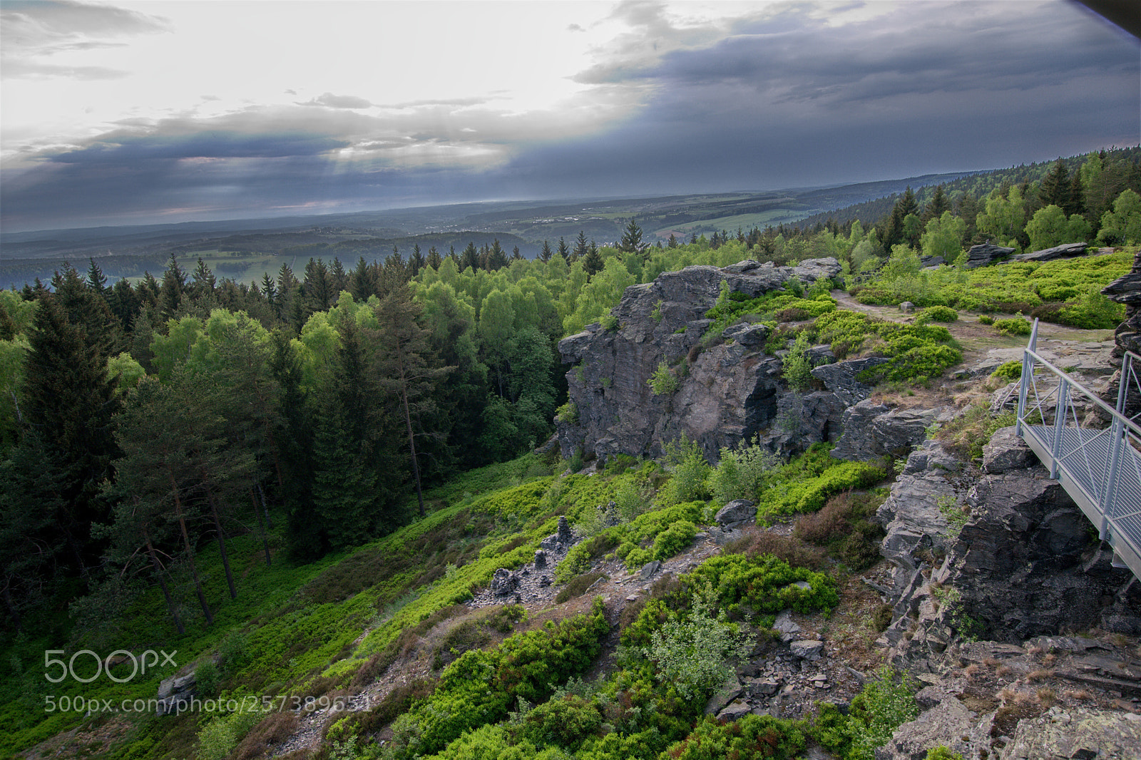 Nikon D3300 sample photo. Afraid of heights photography
