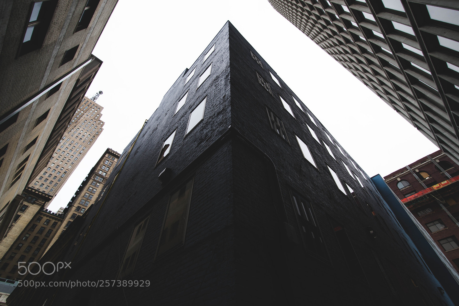 Nikon D610 sample photo. Point photography