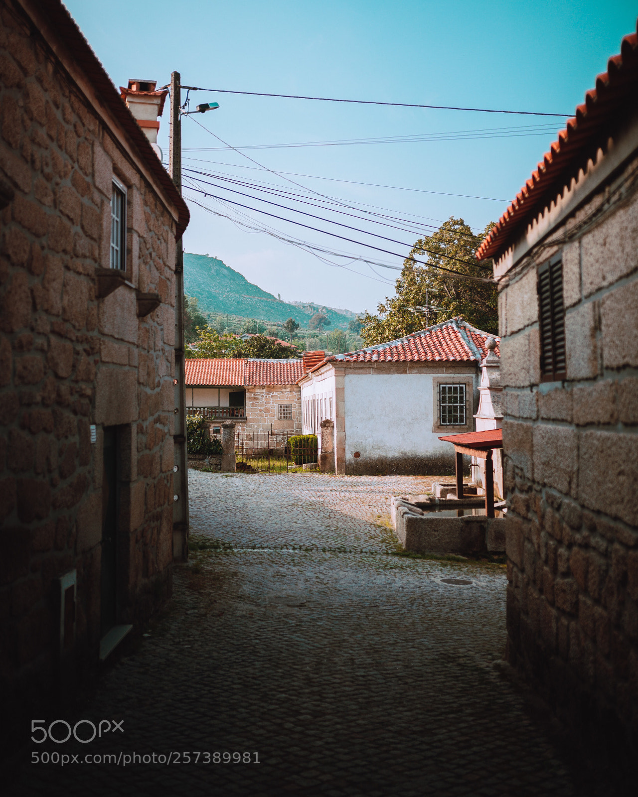 Nikon D610 sample photo. Untitled photography