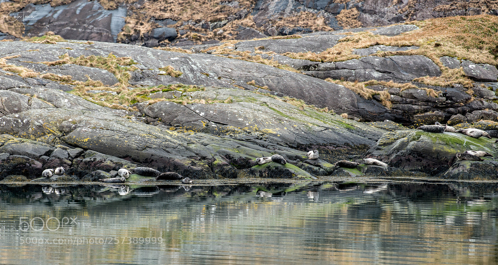 Nikon D800 sample photo. Scotland - isle of photography