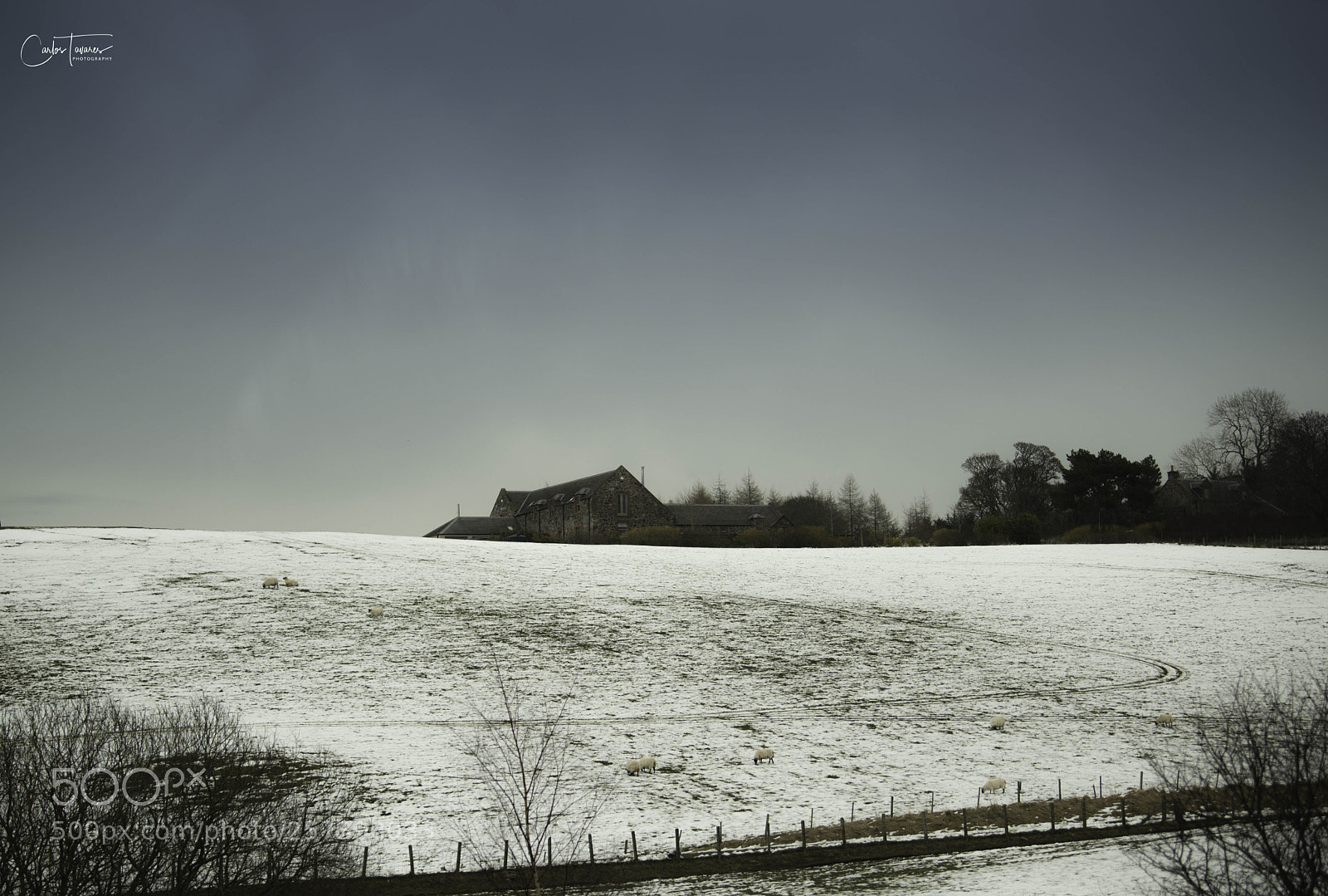 Nikon D800 sample photo. Scotland - isle of photography