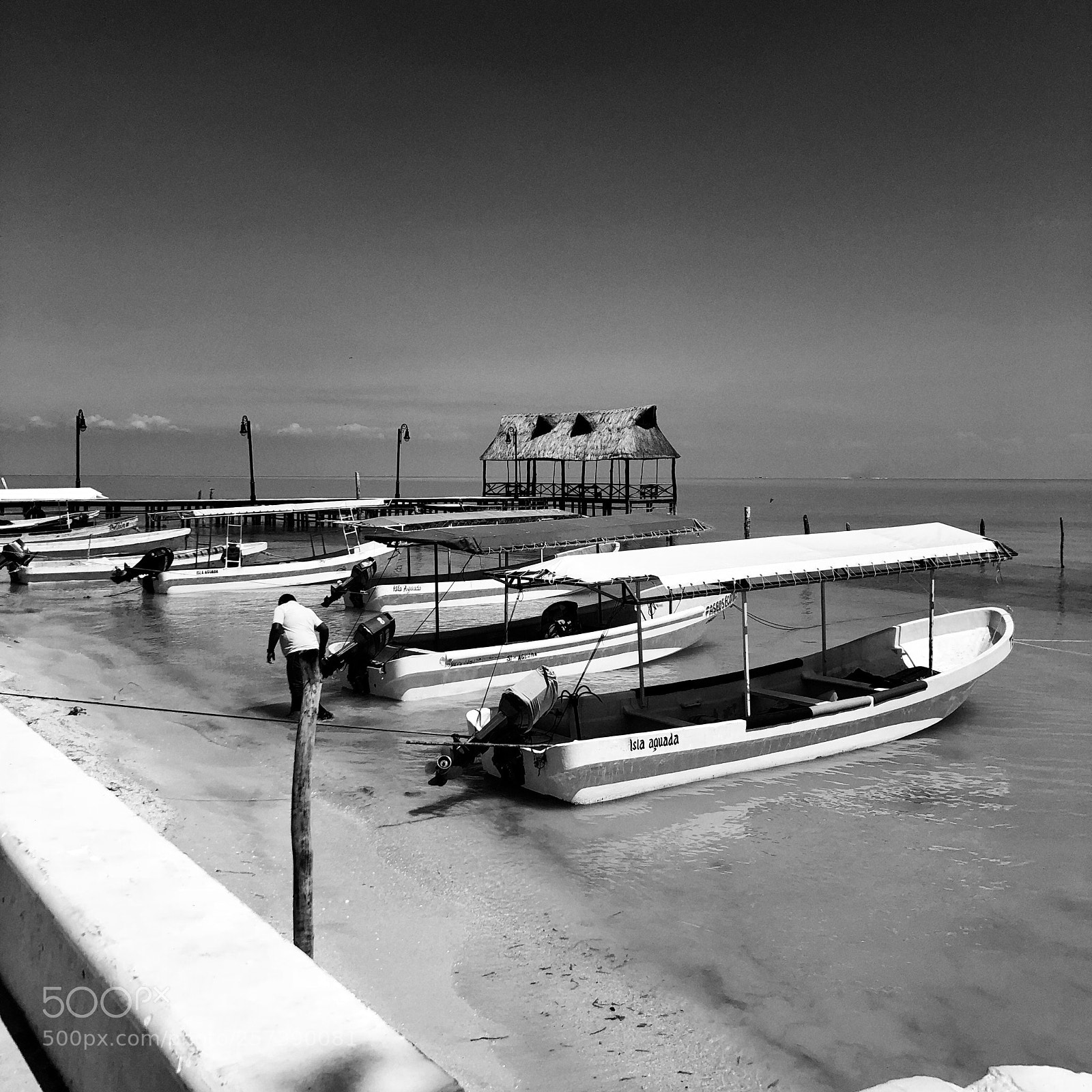 Apple iPhone 8 sample photo. Fisherman photography