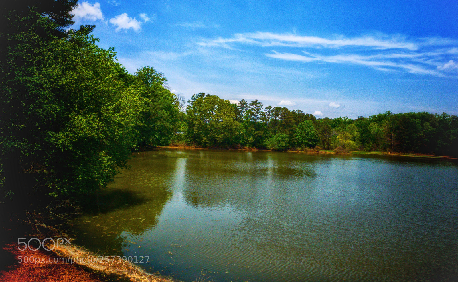 Samsung Galaxy S9+ sample photo. Nelson lake photography