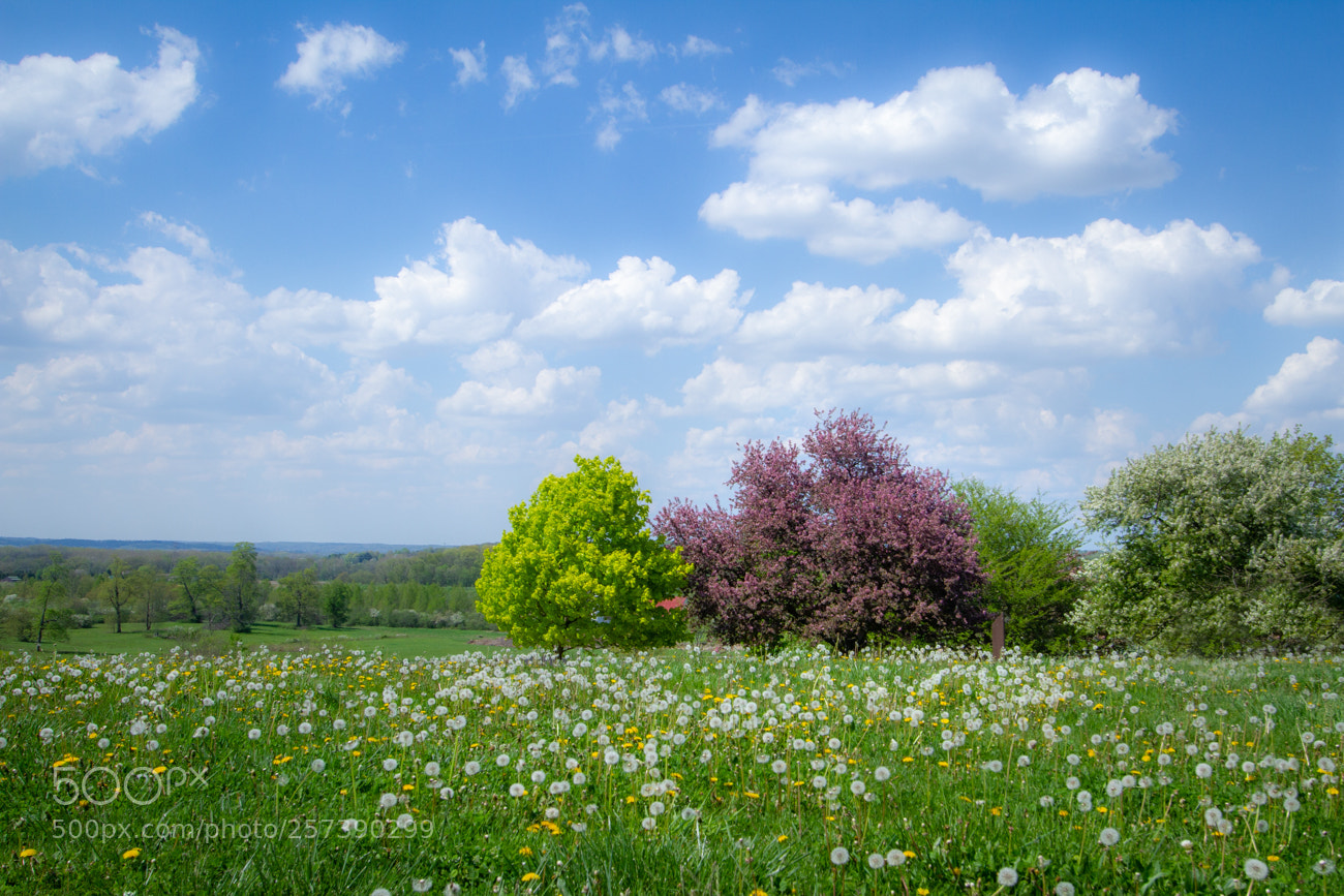 Canon EOS 7D sample photo. Springtime in the country photography