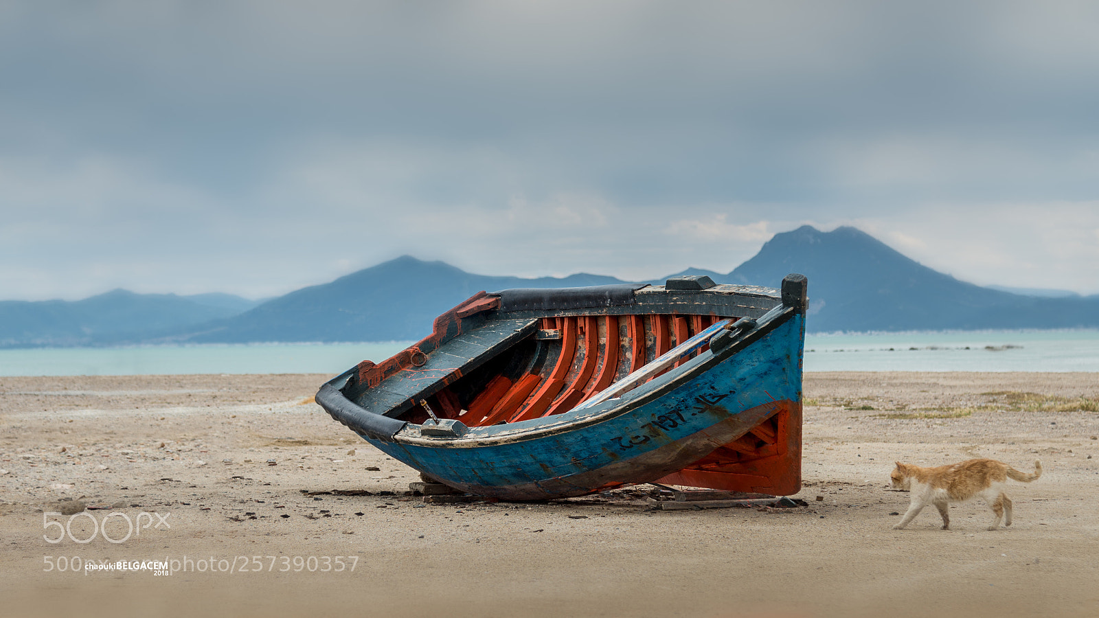 Nikon D610 sample photo. Bateau de pêche photography