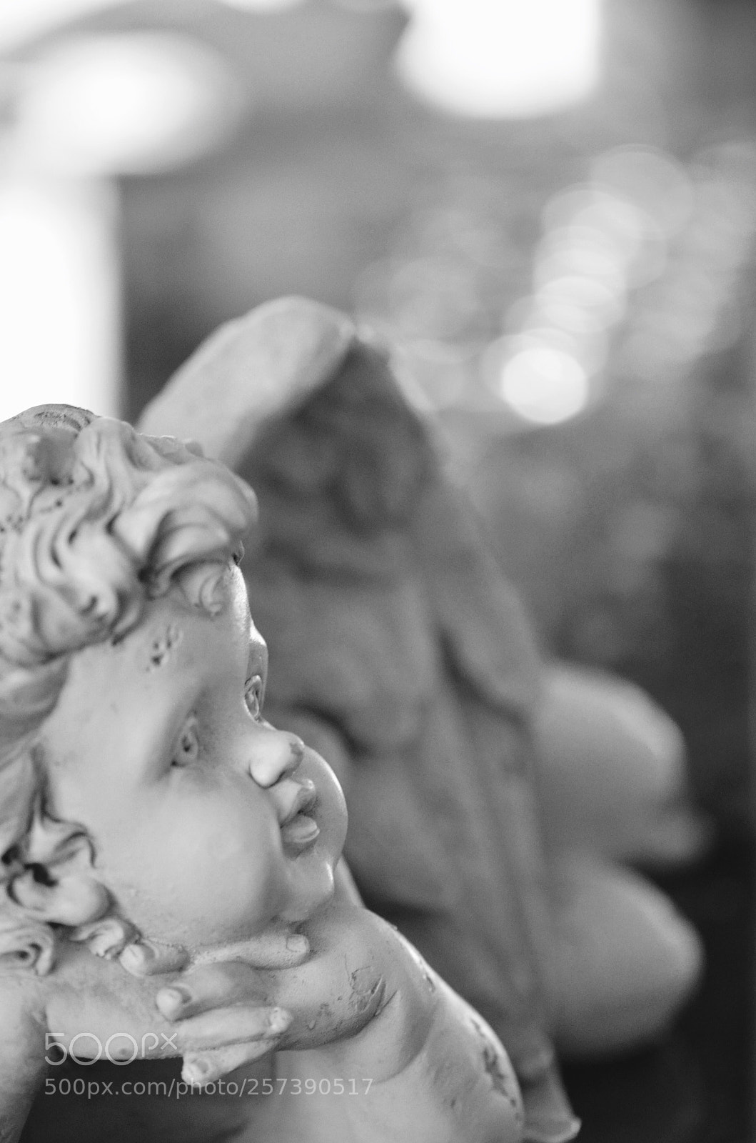 Nikon D7000 sample photo. Untitled photography