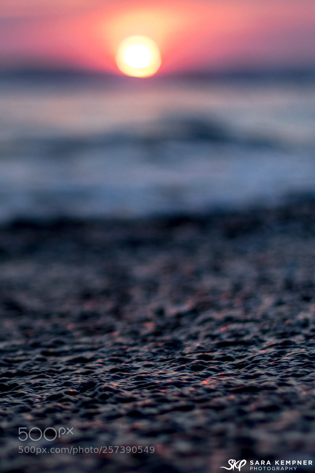 Canon EOS 7D Mark II sample photo. In the details photography