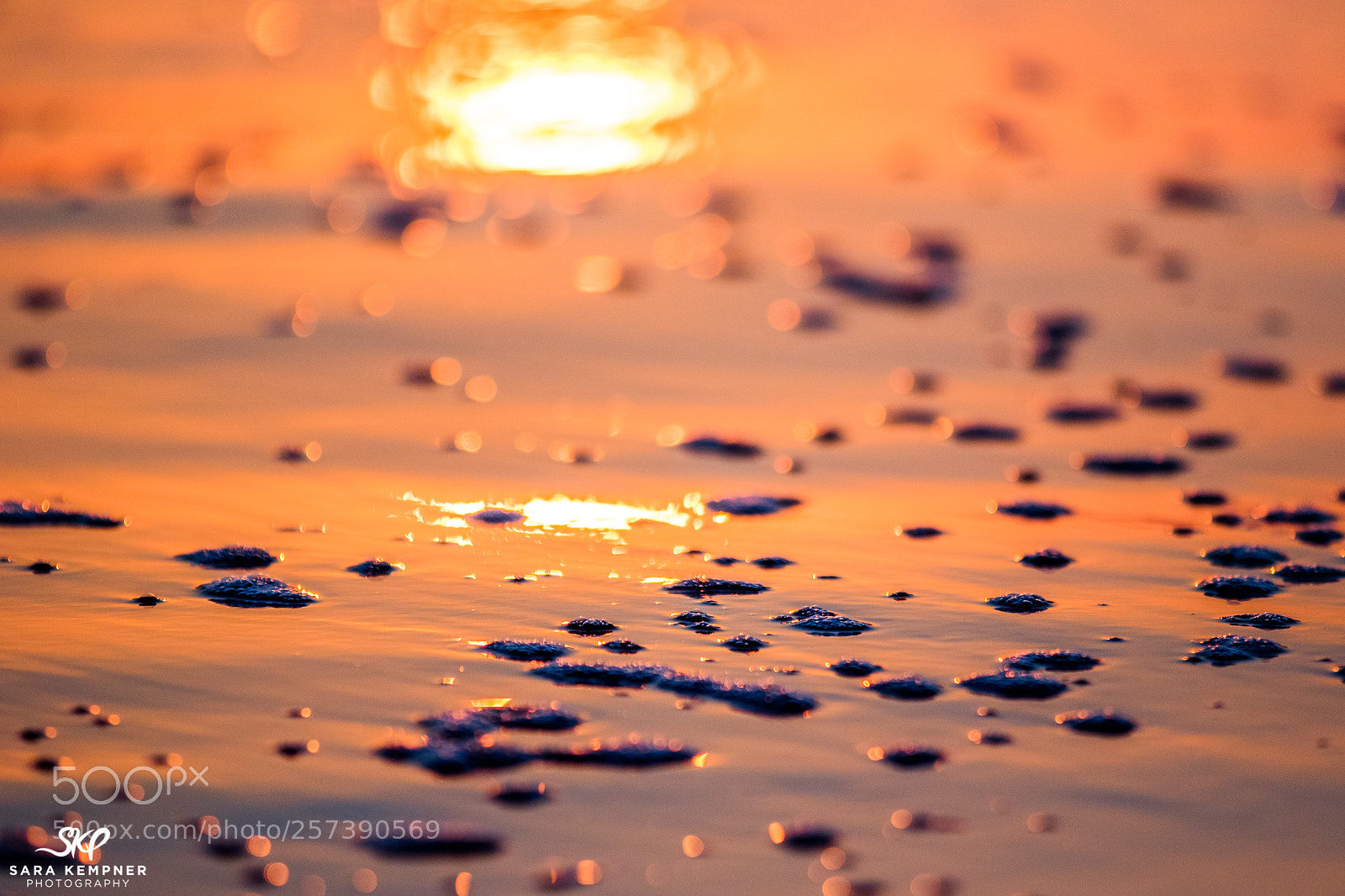 Canon EOS 7D Mark II sample photo. Bubbles on the beach photography