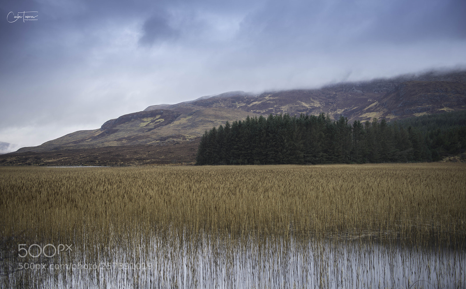 Nikon D800 sample photo. Scotland - isle of photography