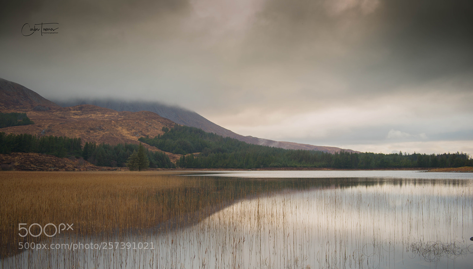 Nikon D800 sample photo. Scotland - isle of photography