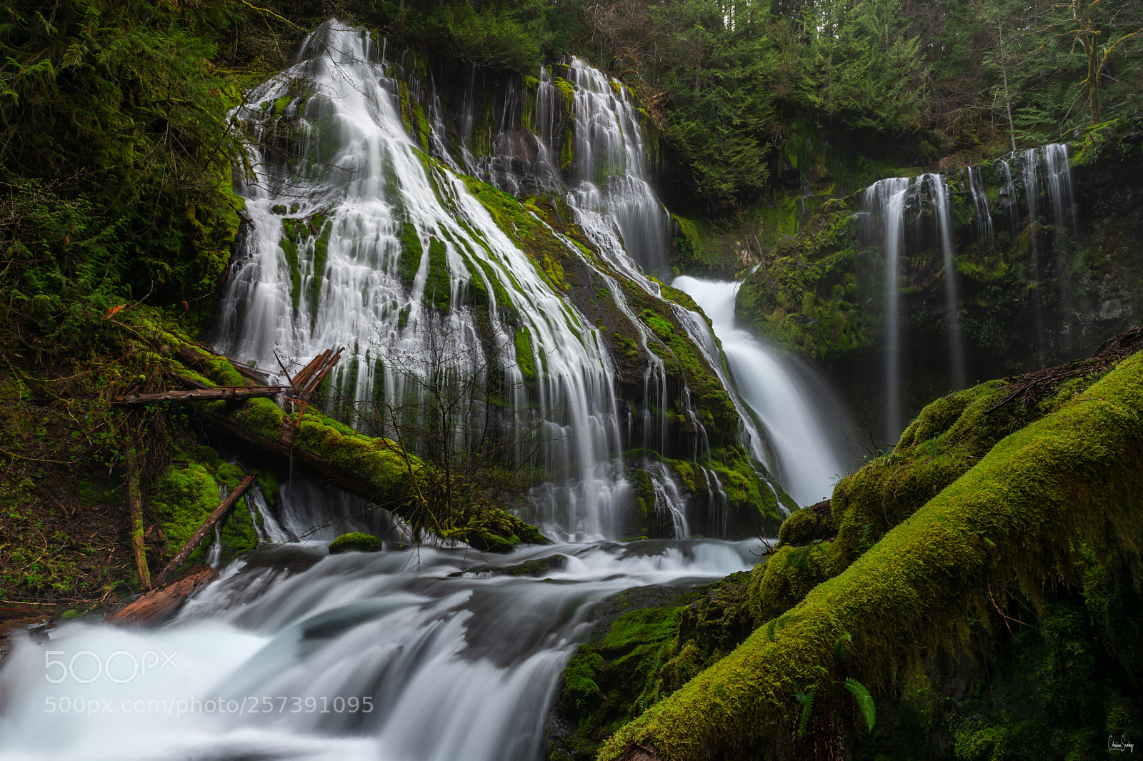 Nikon D4 sample photo. Panther creek falls. photography