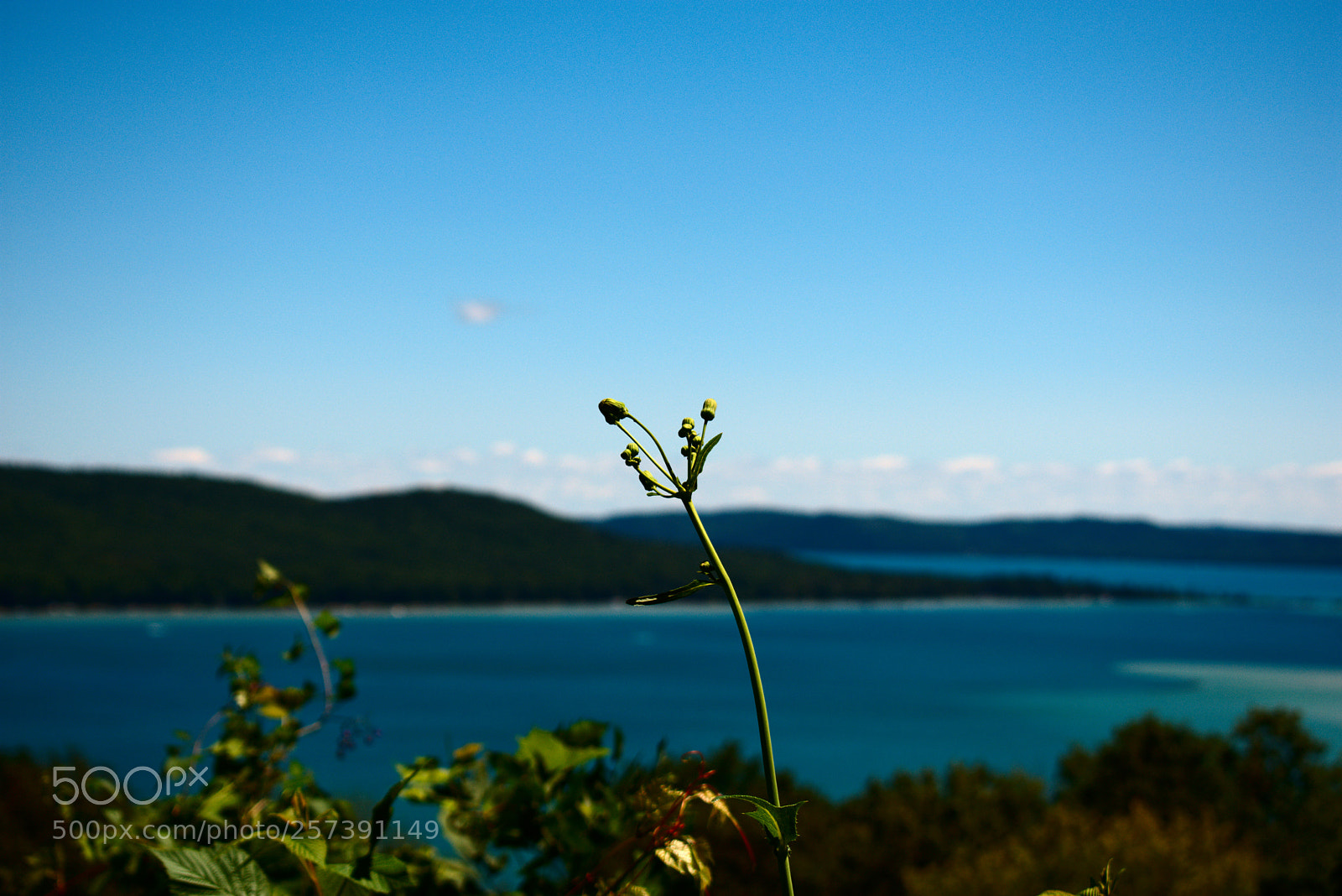 Nikon D3400 sample photo. Alligator hill photography