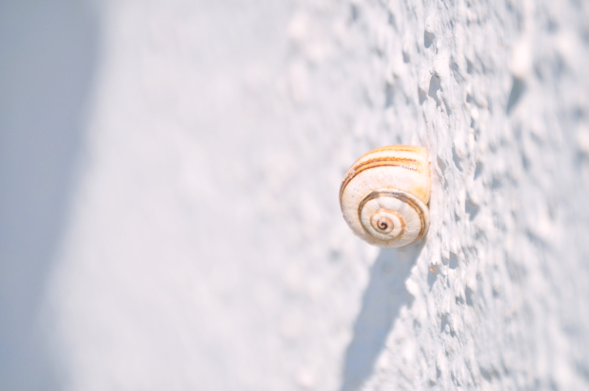 Nikon D5000 sample photo. Stele stone photography