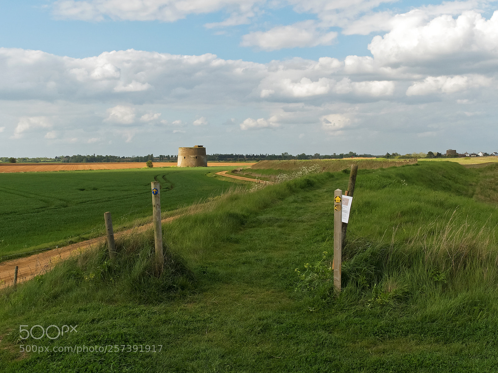 Olympus OM-D E-M5 II sample photo. Footpath photography