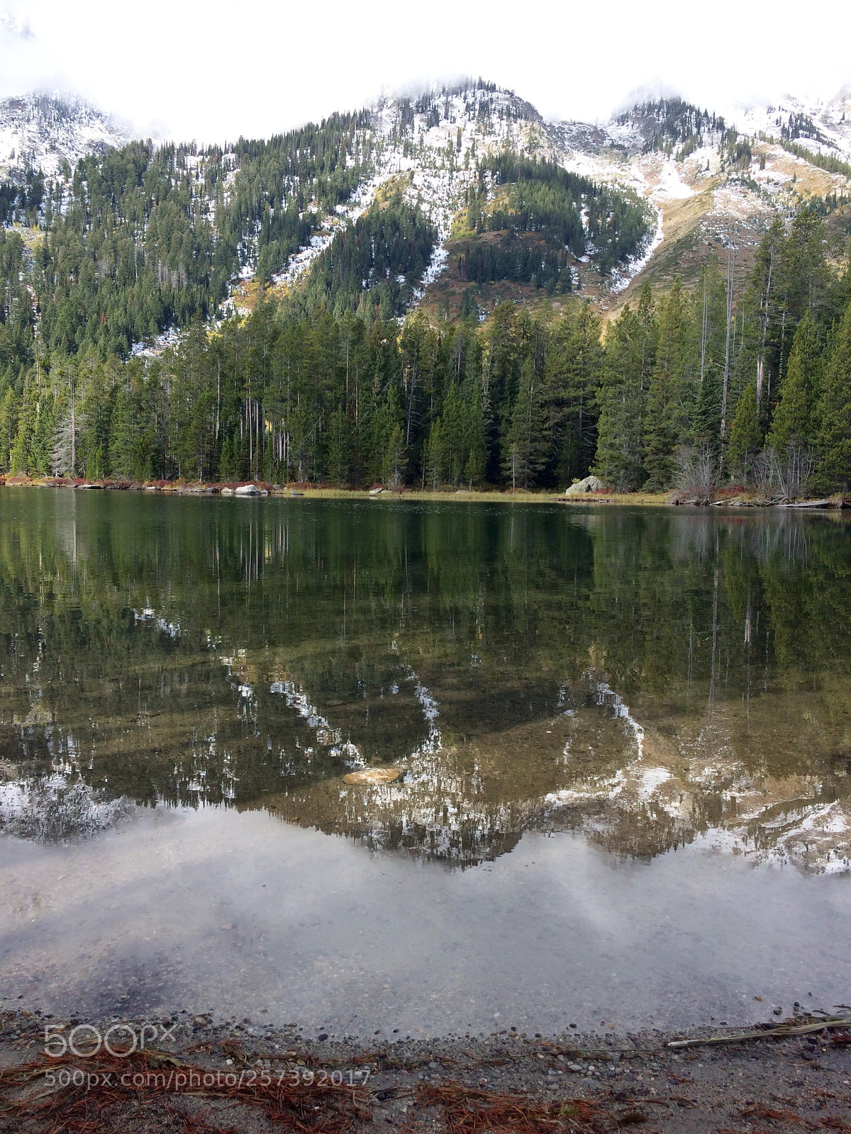 Apple iPhone 5s sample photo. Reflections  photography
