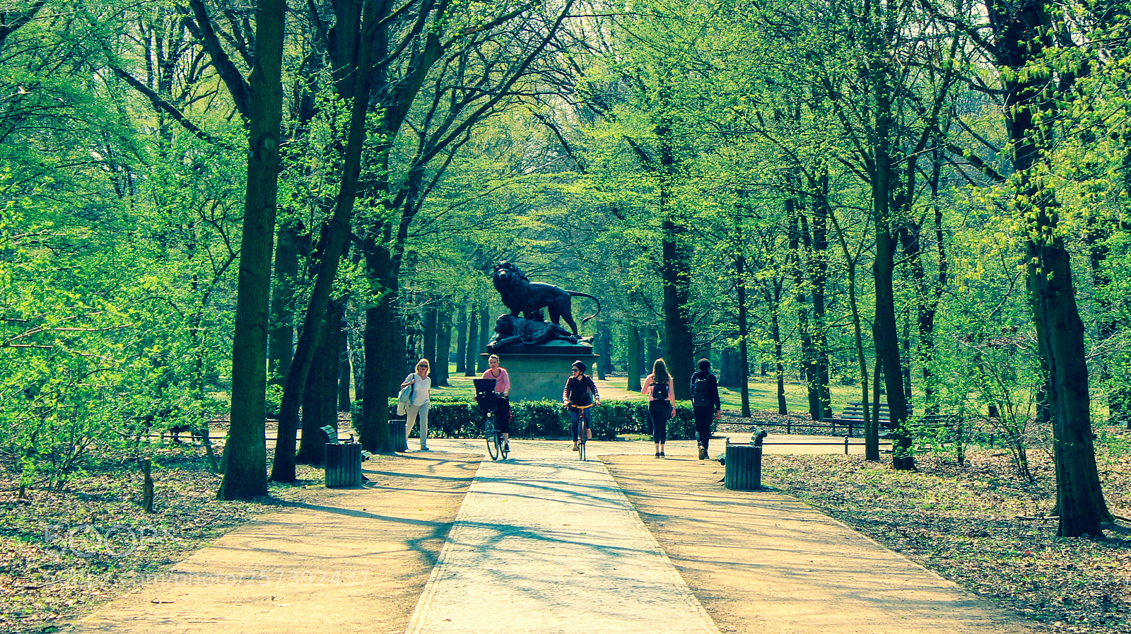 Canon EOS 600D (Rebel EOS T3i / EOS Kiss X5) sample photo. Ladies walk in the photography