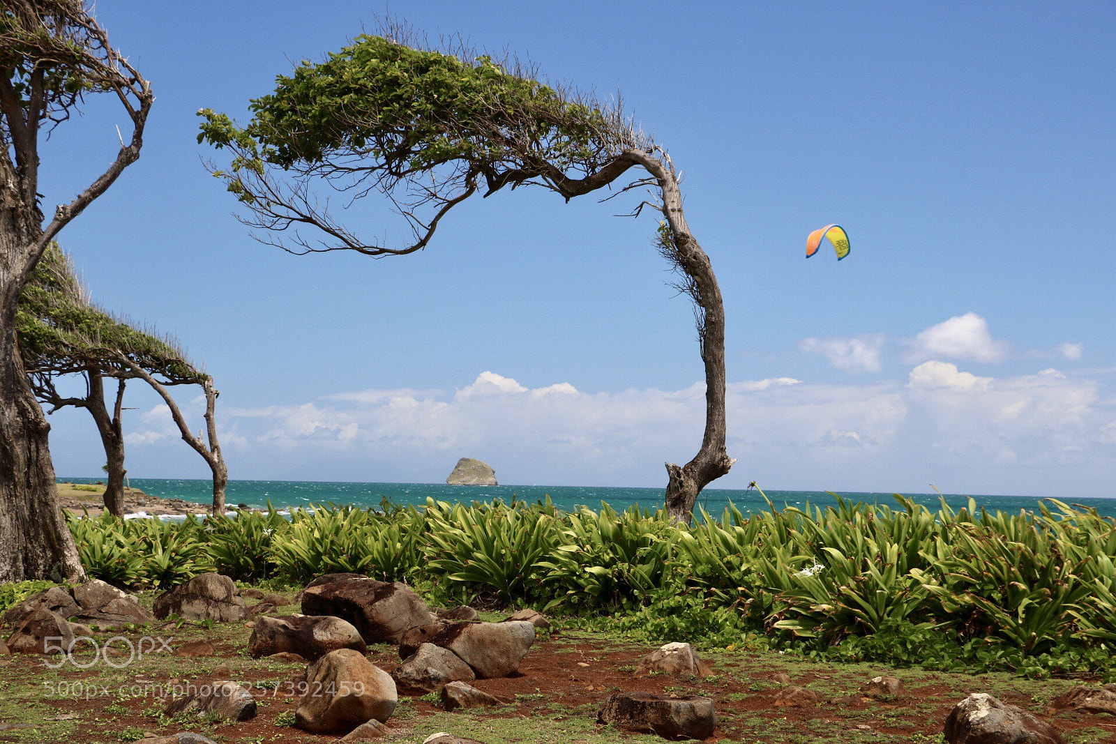 Canon EOS 750D (EOS Rebel T6i / EOS Kiss X8i) sample photo. Guadeloupe photography