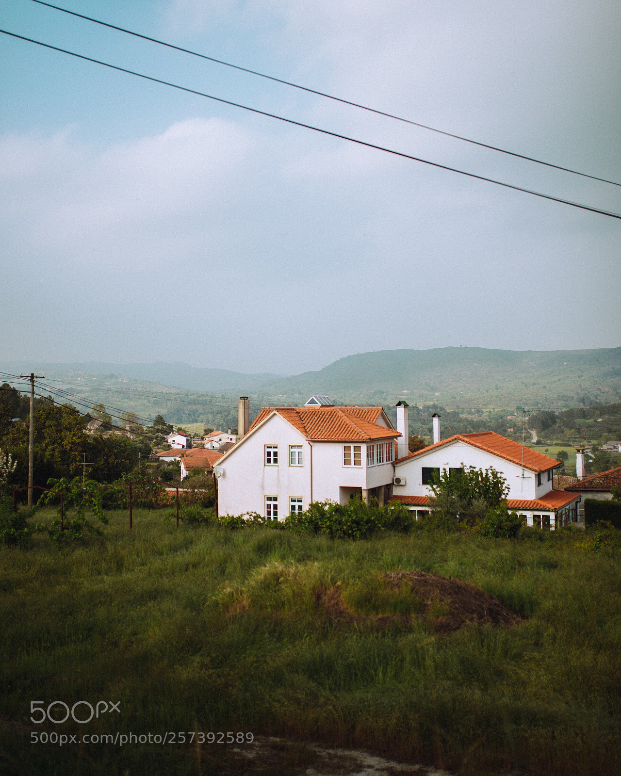 Nikon D610 sample photo. Untitled photography