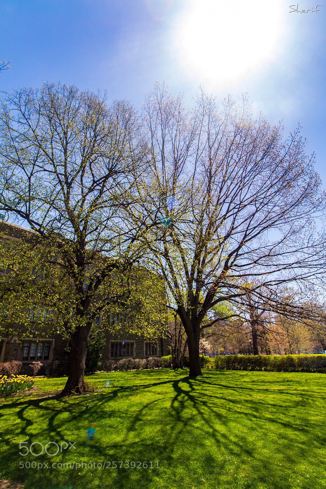Canon EOS 750D (EOS Rebel T6i / EOS Kiss X8i) sample photo. University of toronto  photography