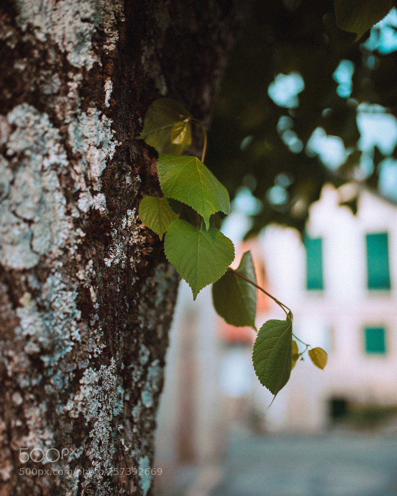 Nikon D610 sample photo. Untitled photography
