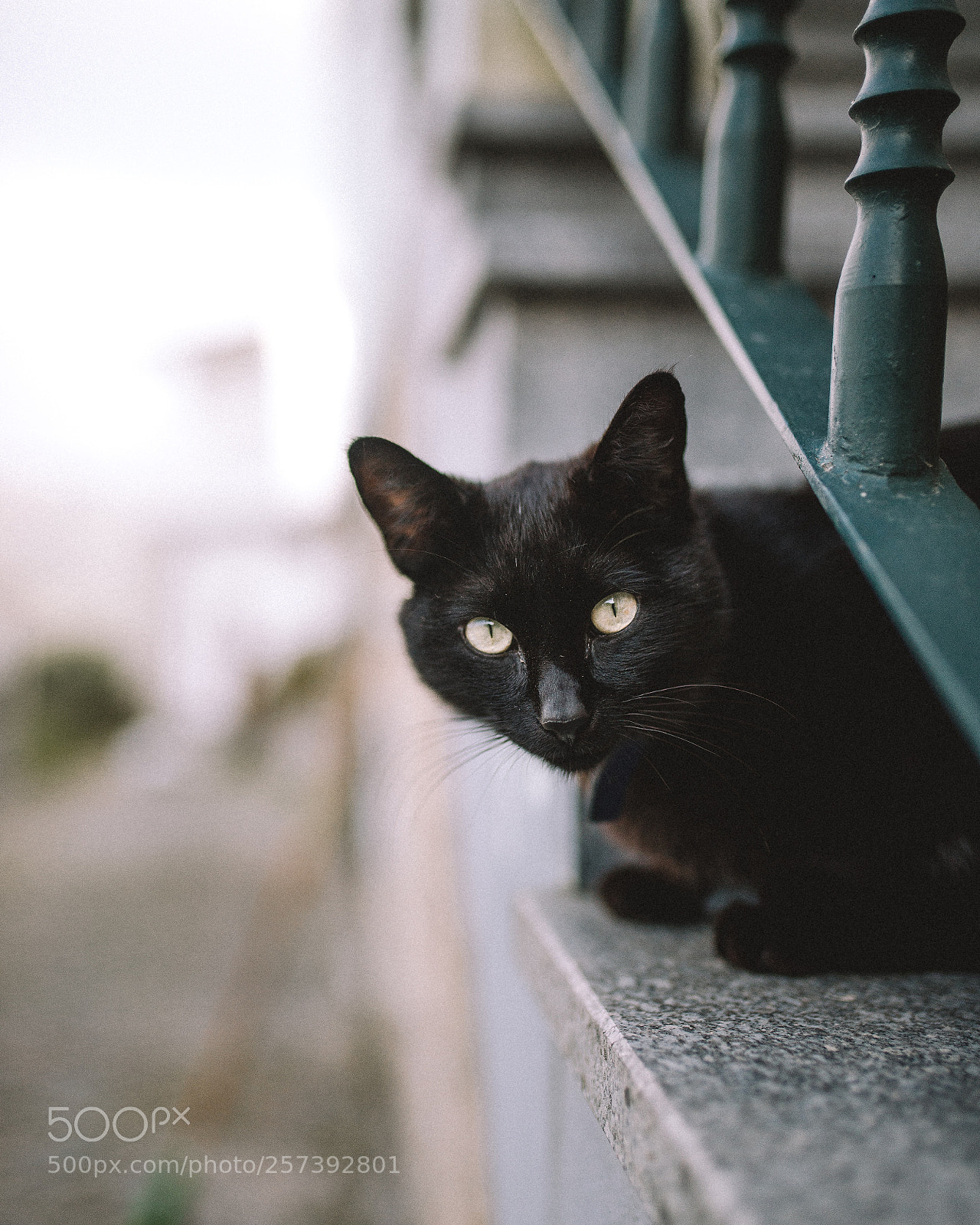 Nikon D610 sample photo. Untitled photography