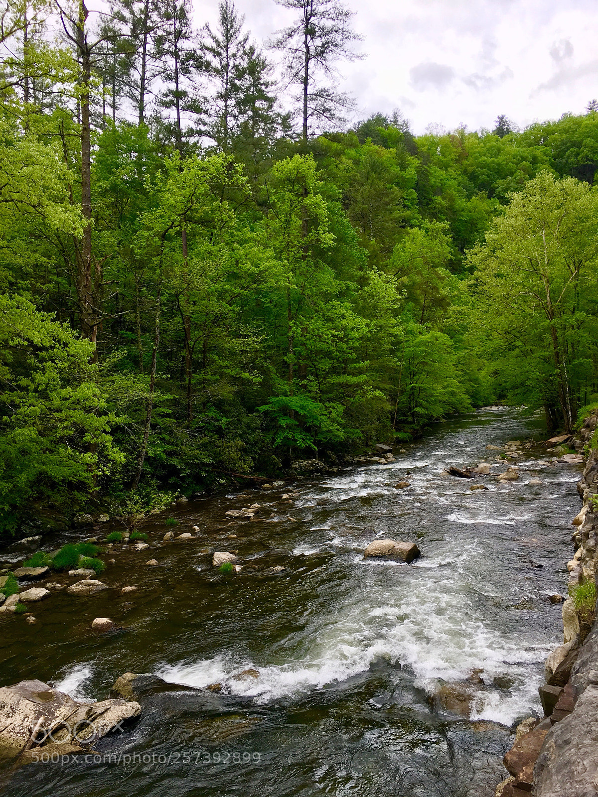 Apple iPhone 6s sample photo. Great smoky mountains national photography