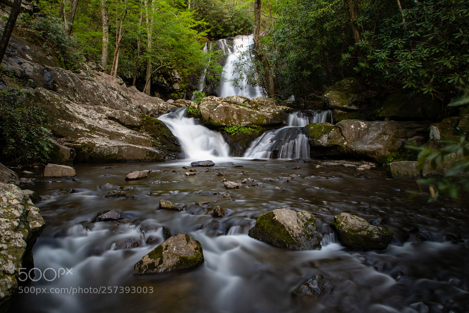 Canon EOS 5D Mark IV sample photo. Spruce flats falls photography