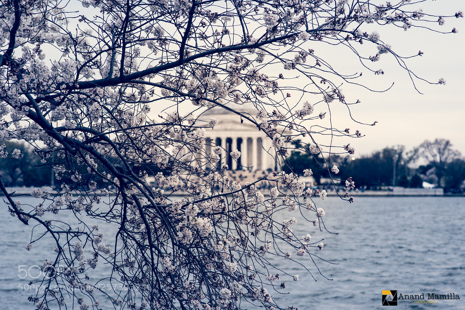 Nikon D750 sample photo. Thomas jefferson memorial photography