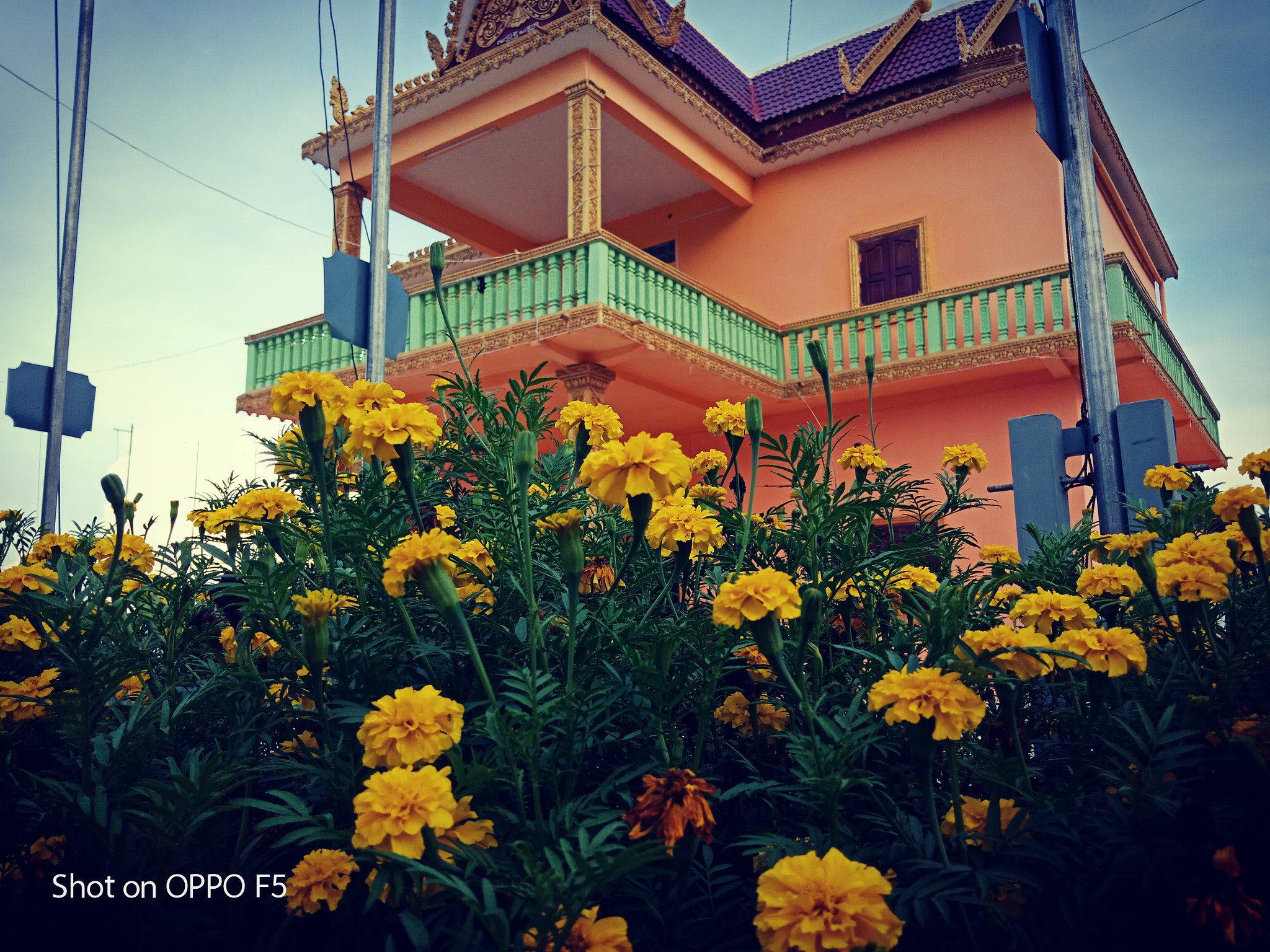 OPPO F5 sample photo