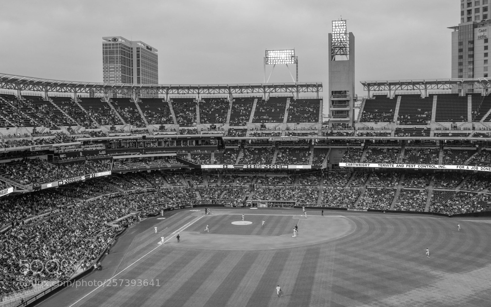 Canon EOS 600D (Rebel EOS T3i / EOS Kiss X5) sample photo. Petco park black and photography