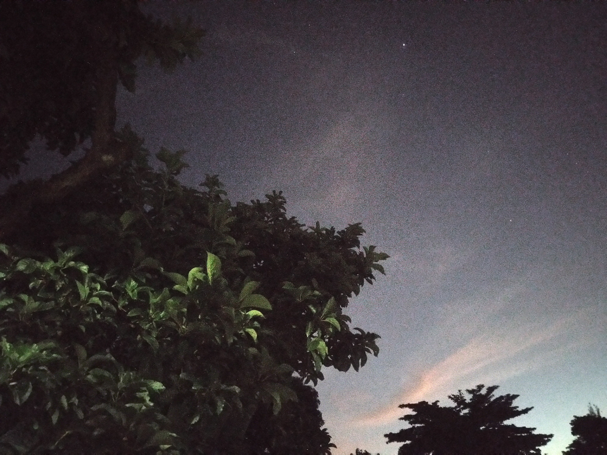 ASUS ZenFone 3 Max (ZC520TL) sample photo. Bright night photography
