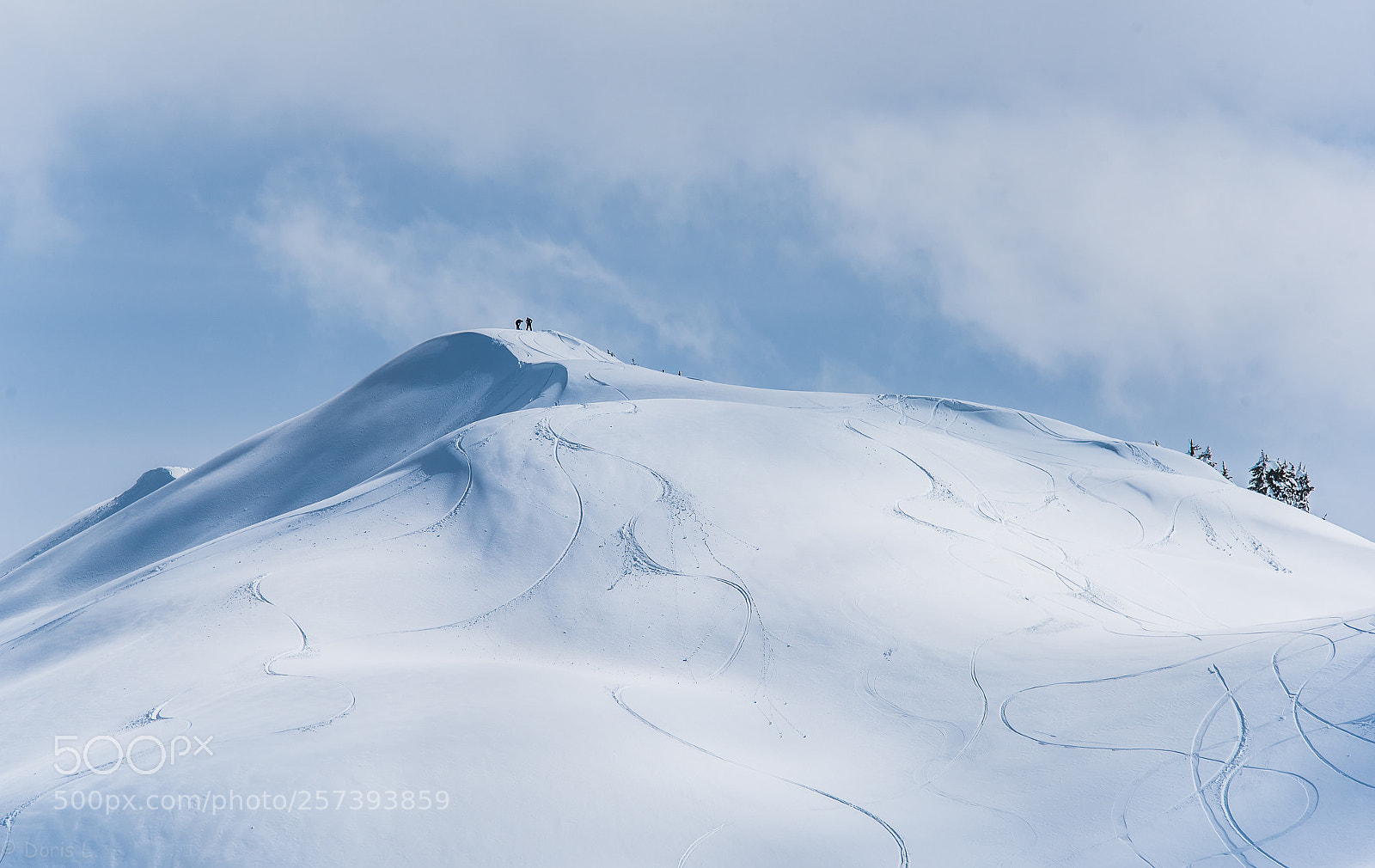 Nikon D750 sample photo. Children of winter photography