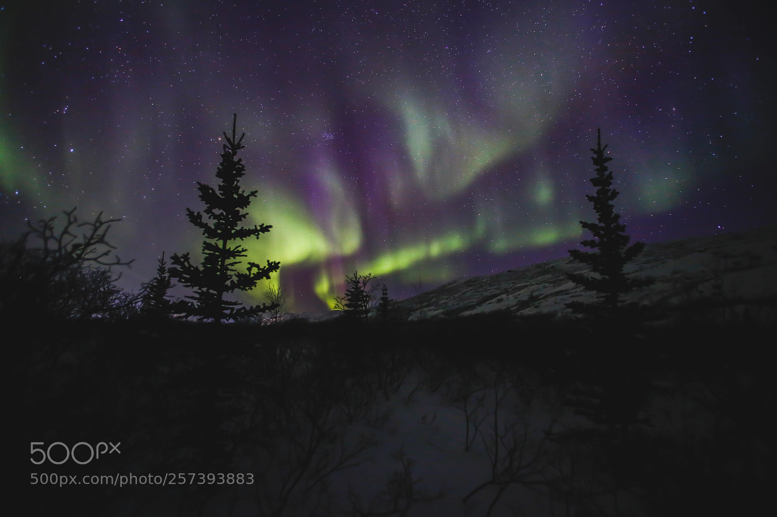 Canon EOS 6D sample photo. Aurora photography