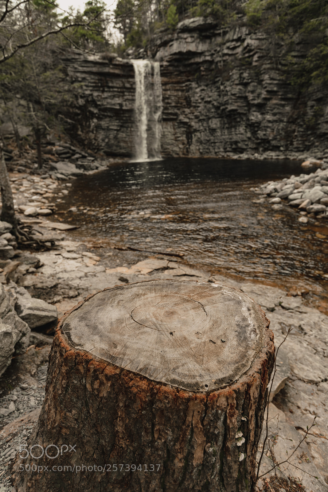 Nikon D750 sample photo. How old? photography