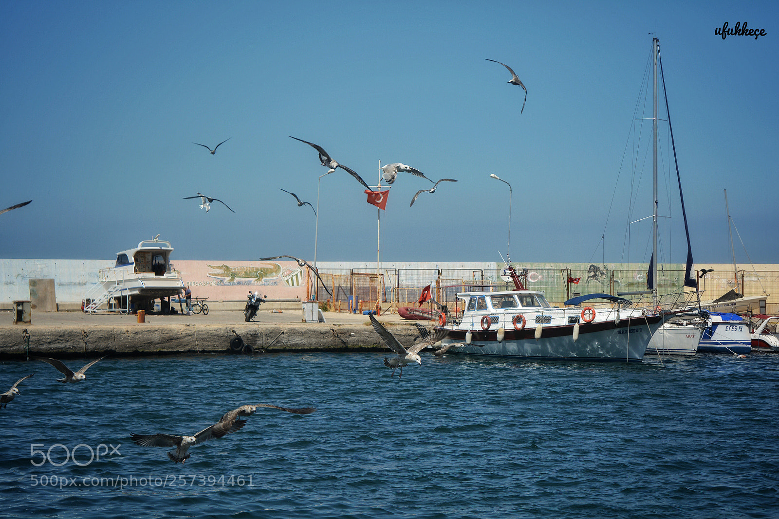 Nikon D5200 sample photo. Trilye, mudanya photography