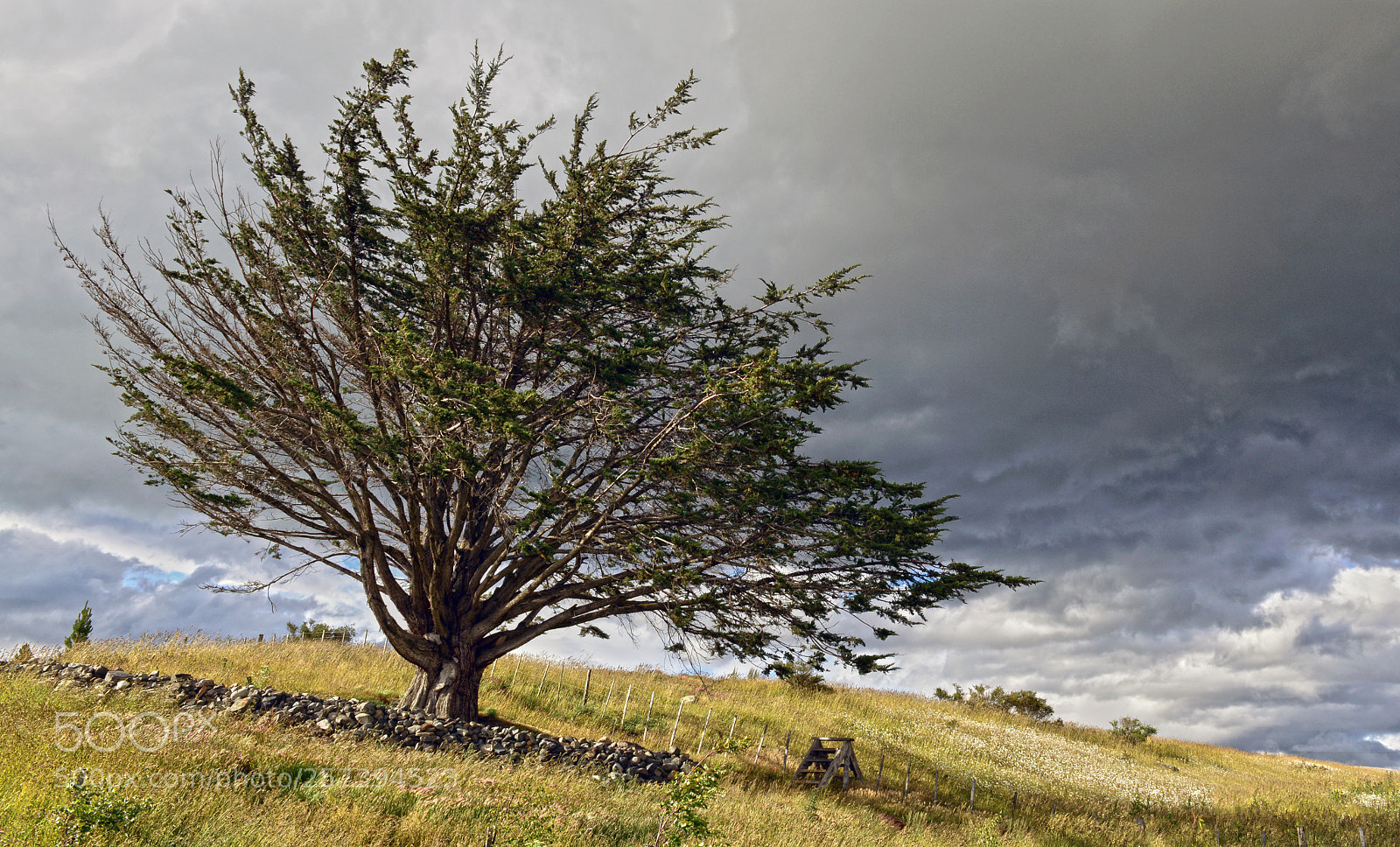 Nikon D800 sample photo. Natales photography