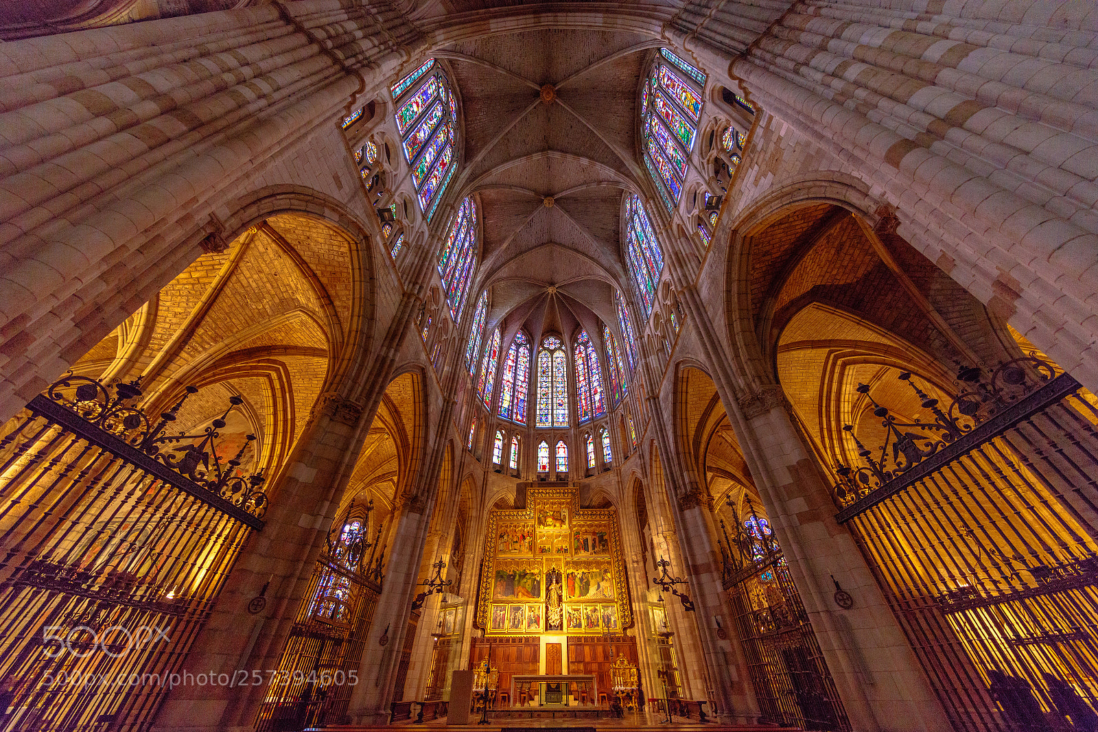 Canon EOS 5DS R sample photo. Catedral de león photography