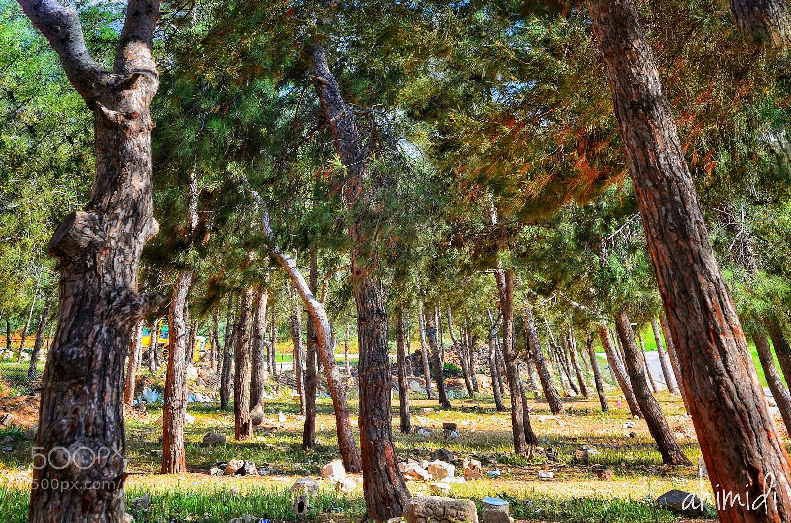 Nikon D7000 sample photo. Untitled photography