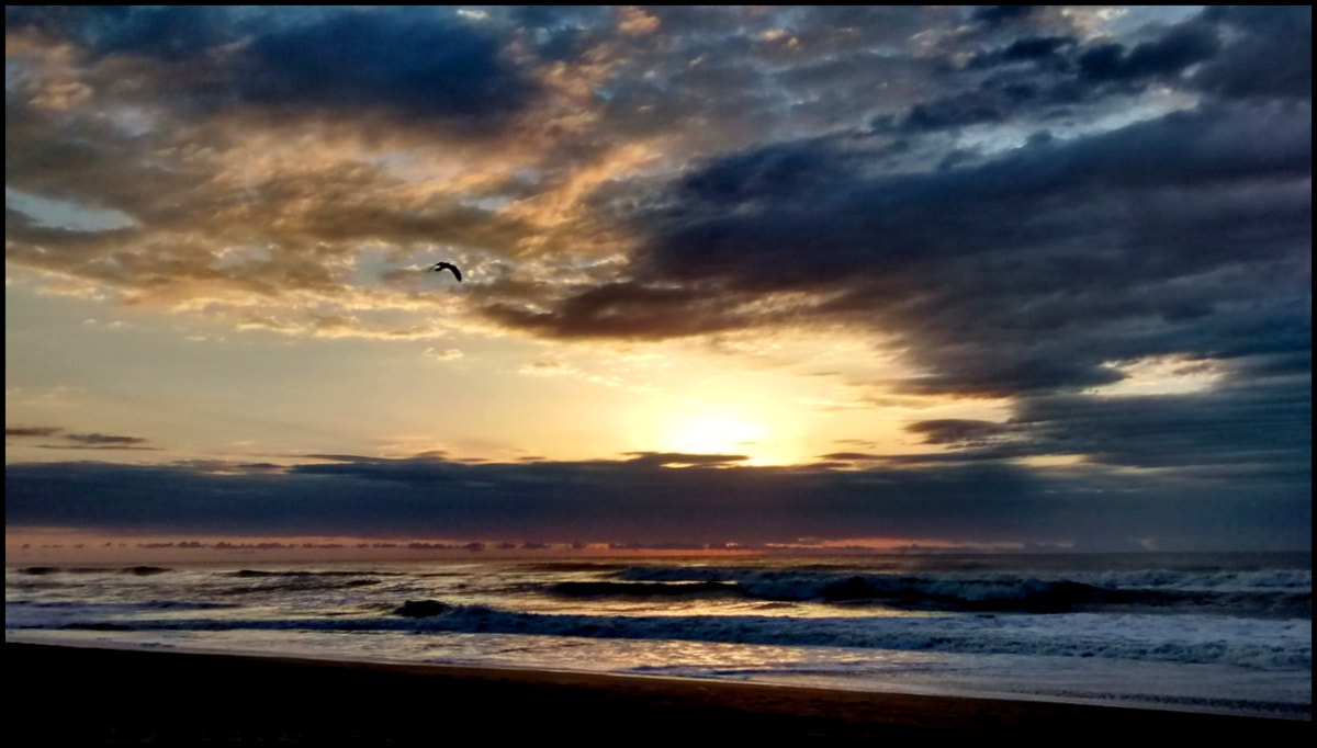 Motorola XT1032 sample photo. Playa photography