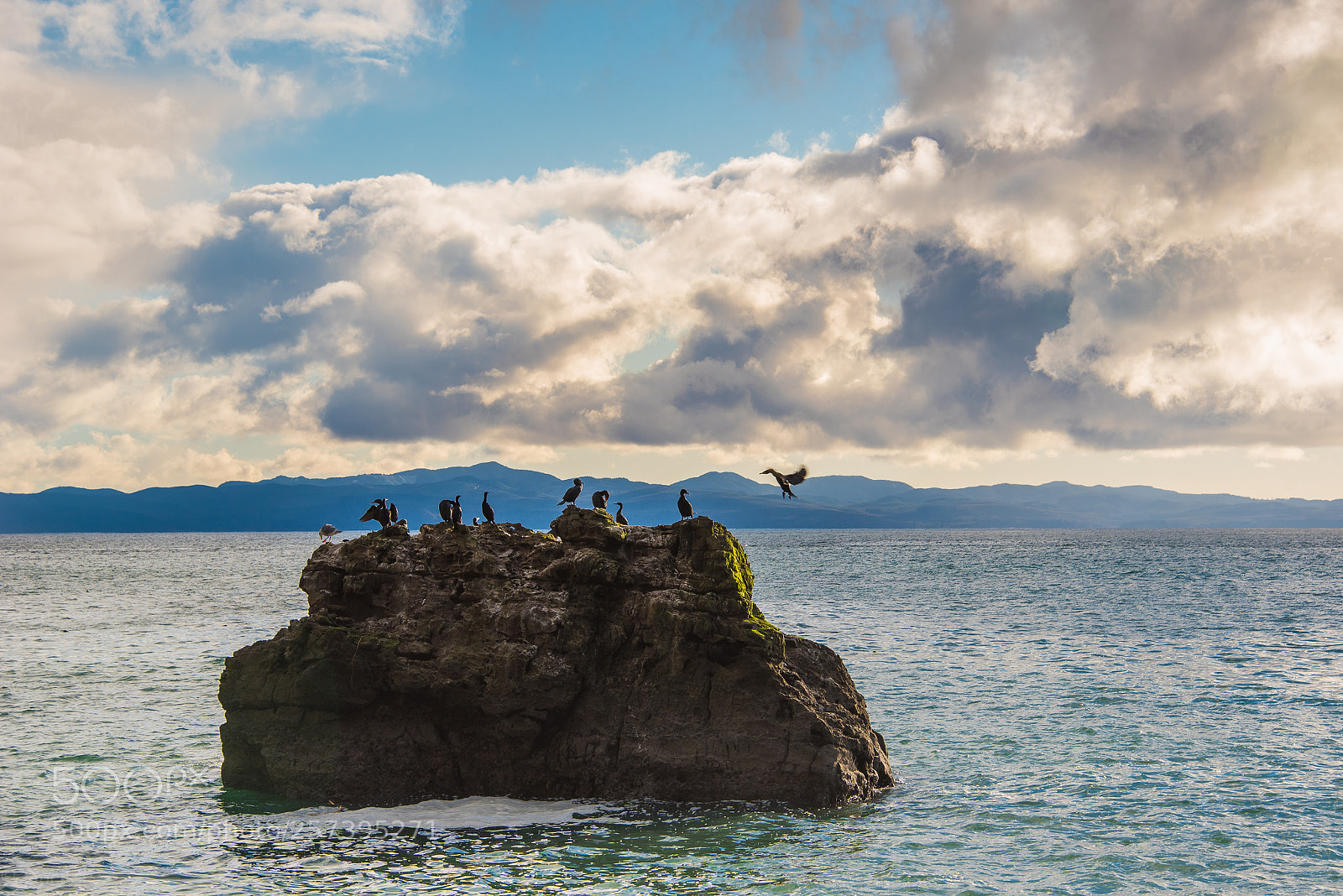 Nikon D750 sample photo. Let us be friends! photography