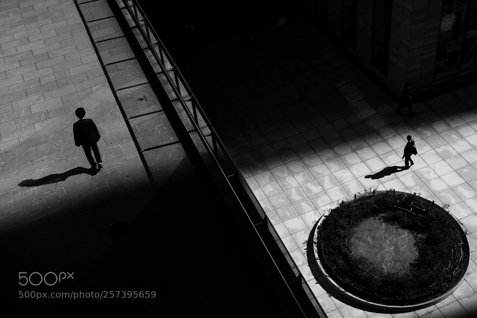 Fujifilm X-Pro2 sample photo. Tokyo, japan photography