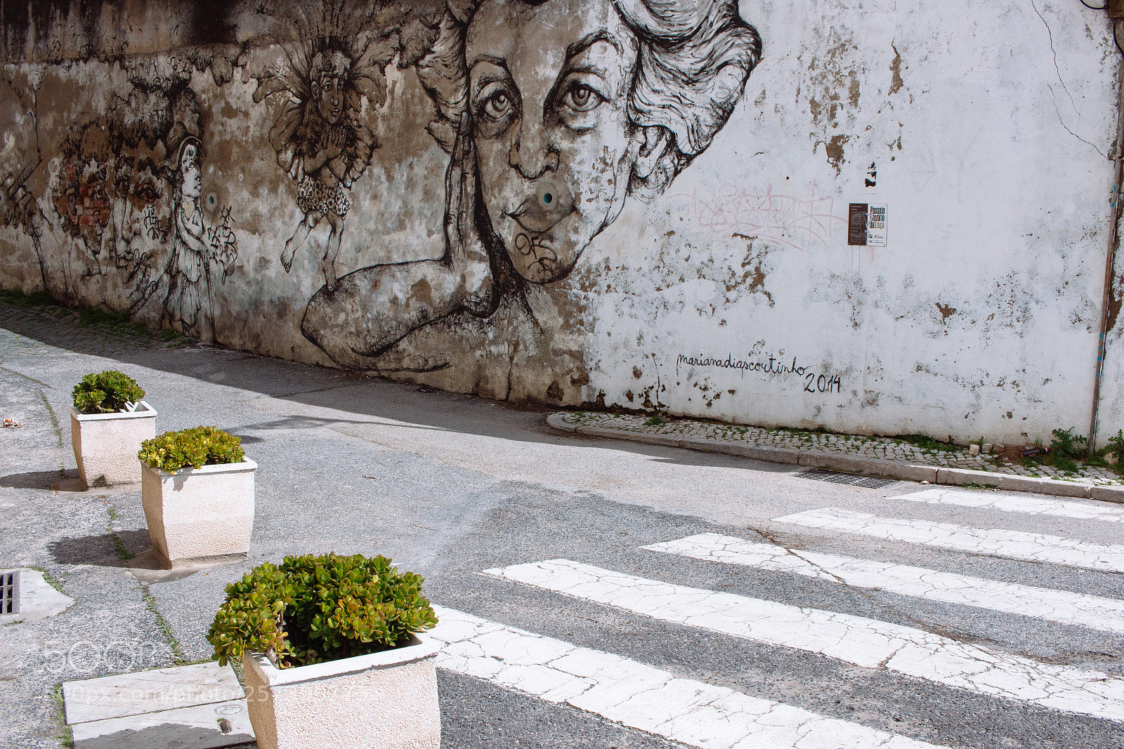 Canon EOS 70D sample photo. Untitled photography