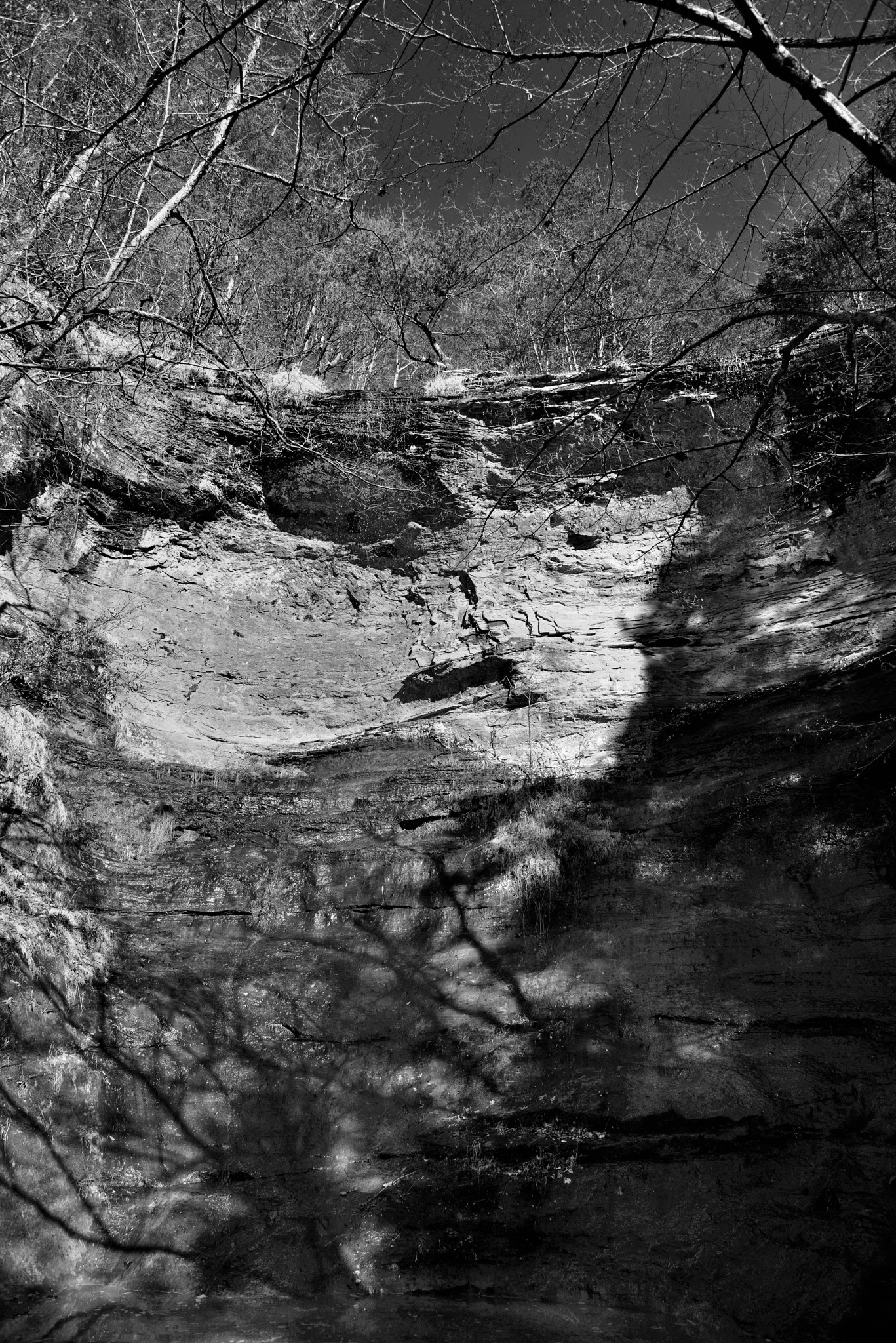 Nikon D800E + Nikon AF-S Nikkor 24-120mm F4G ED VR sample photo. A dried-up high bank twin falls (black & white) photography