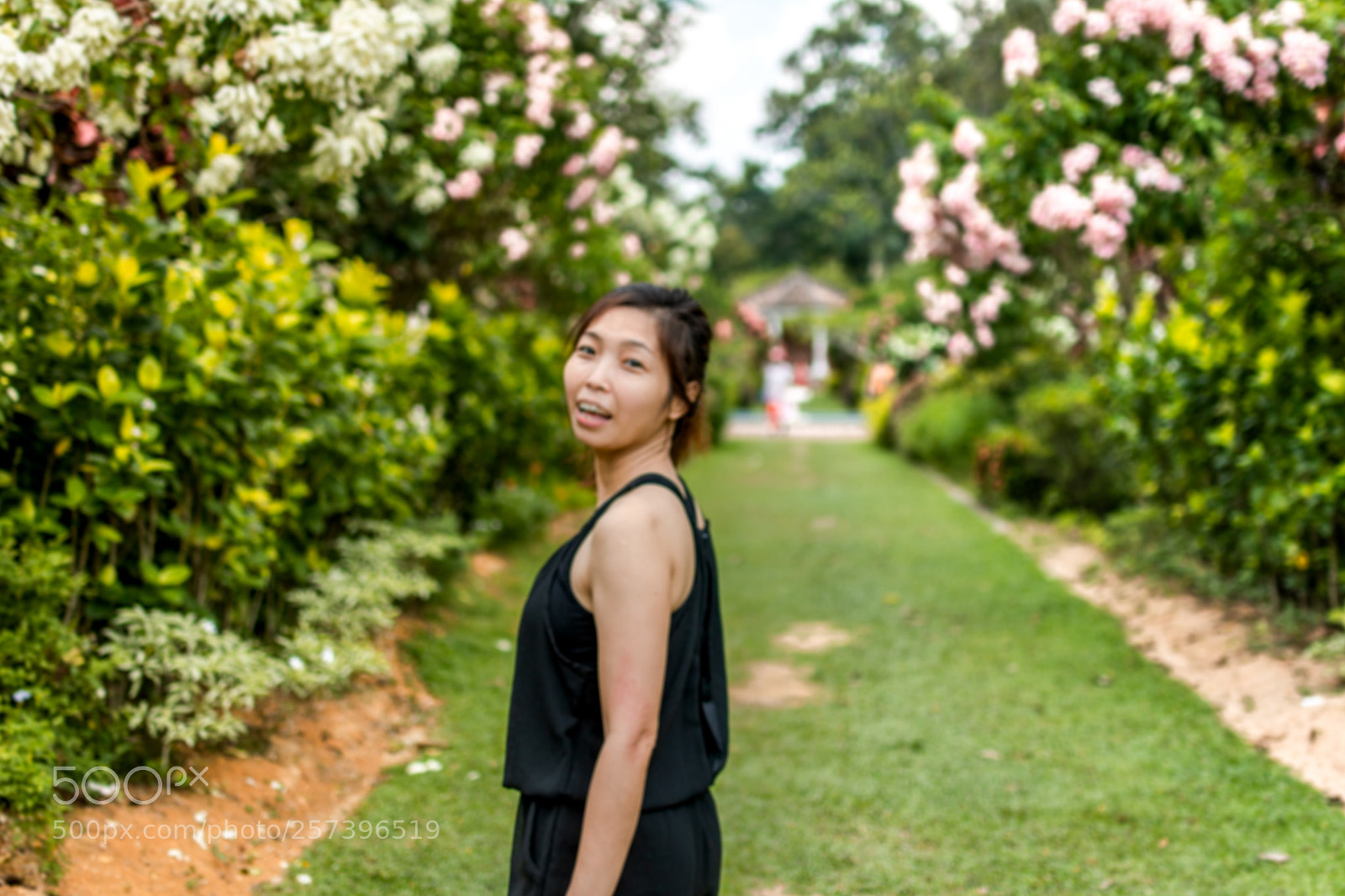 Nikon D7100 sample photo. Untitled photography