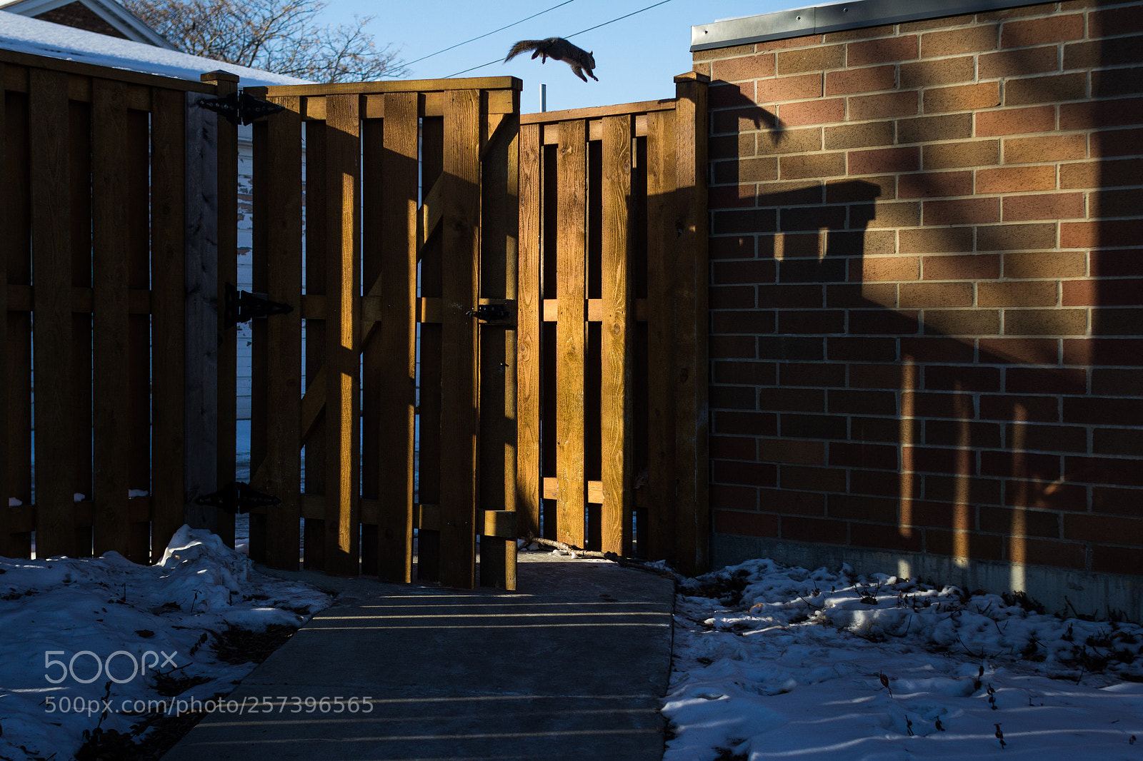 Canon EOS 60D sample photo. Jump! photography