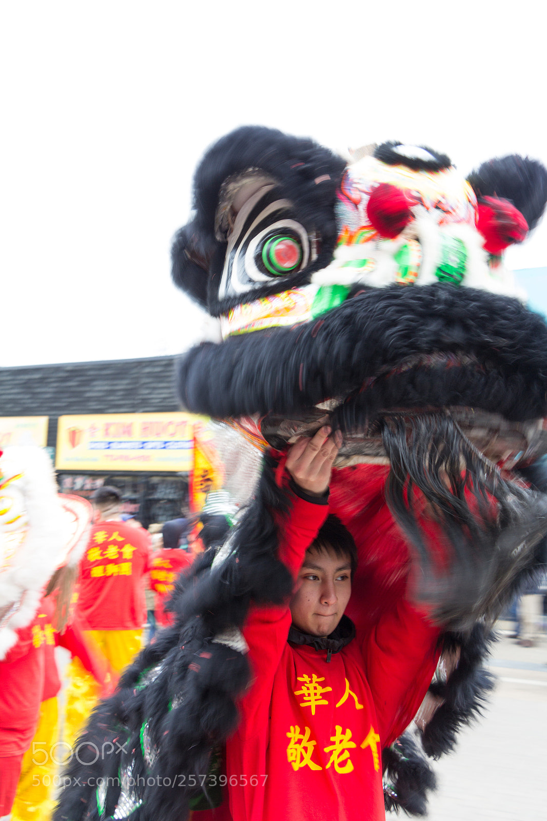 Canon EOS 60D sample photo. Happy new year photography