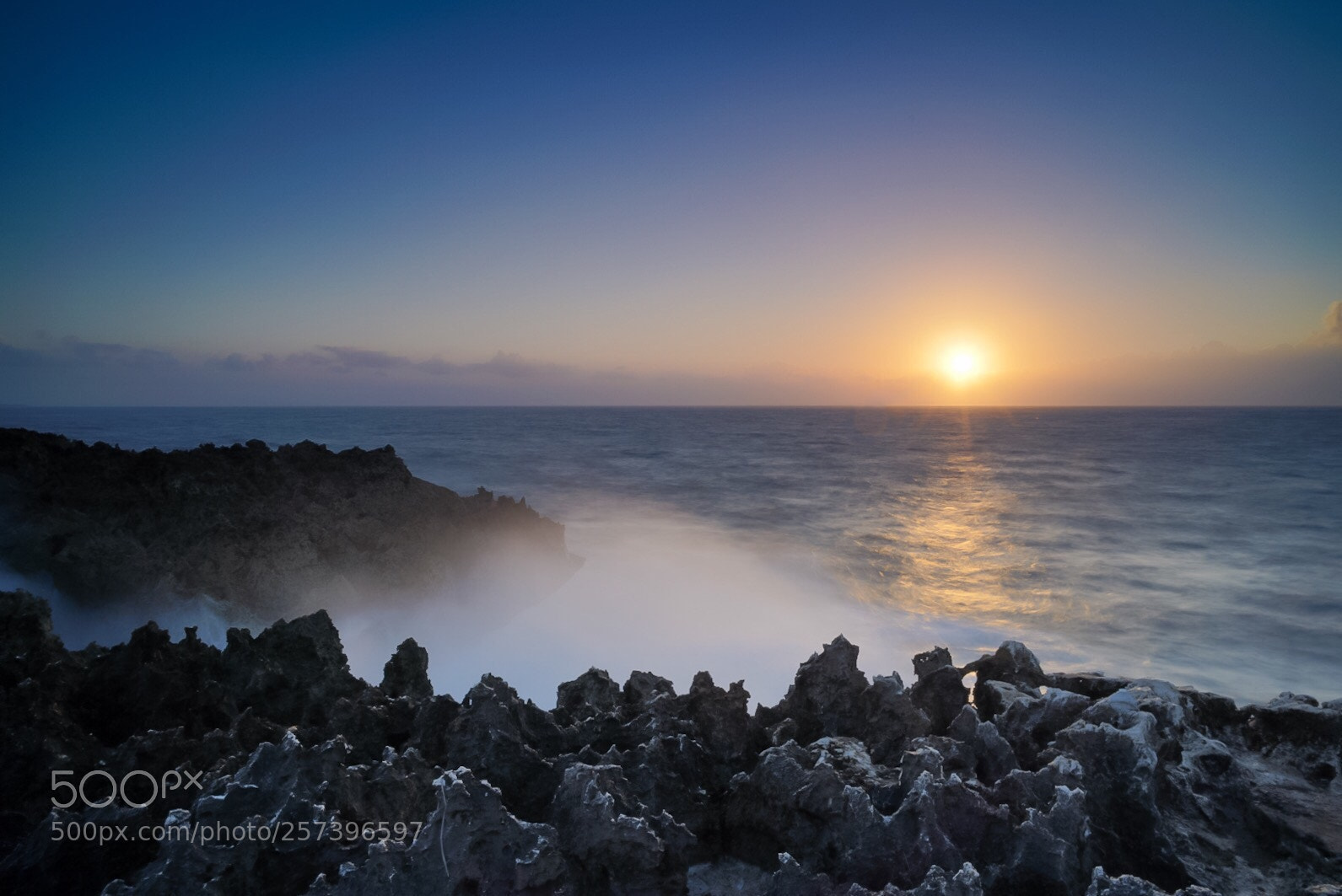 Sony a7R III sample photo. Sunshine  photography