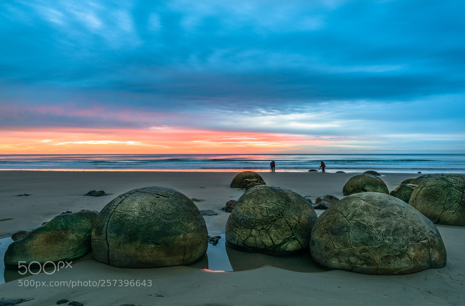 Nikon D810 sample photo. Moeraki boulders photography