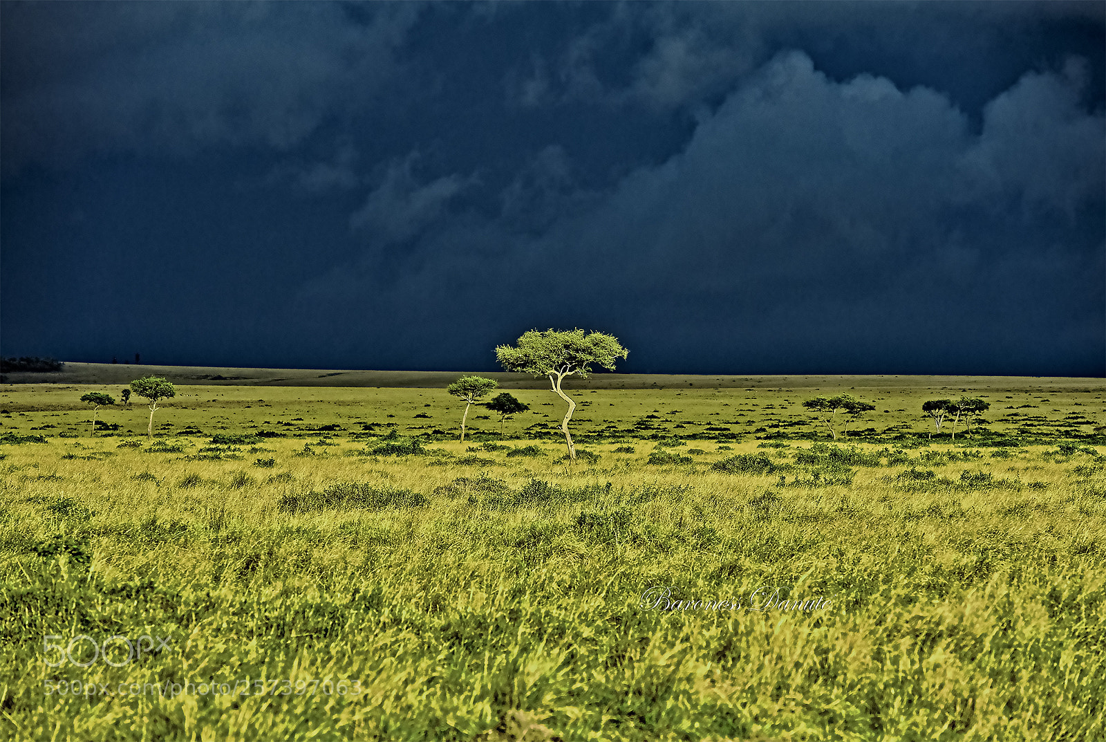 Nikon D3 sample photo. Stormy day photography