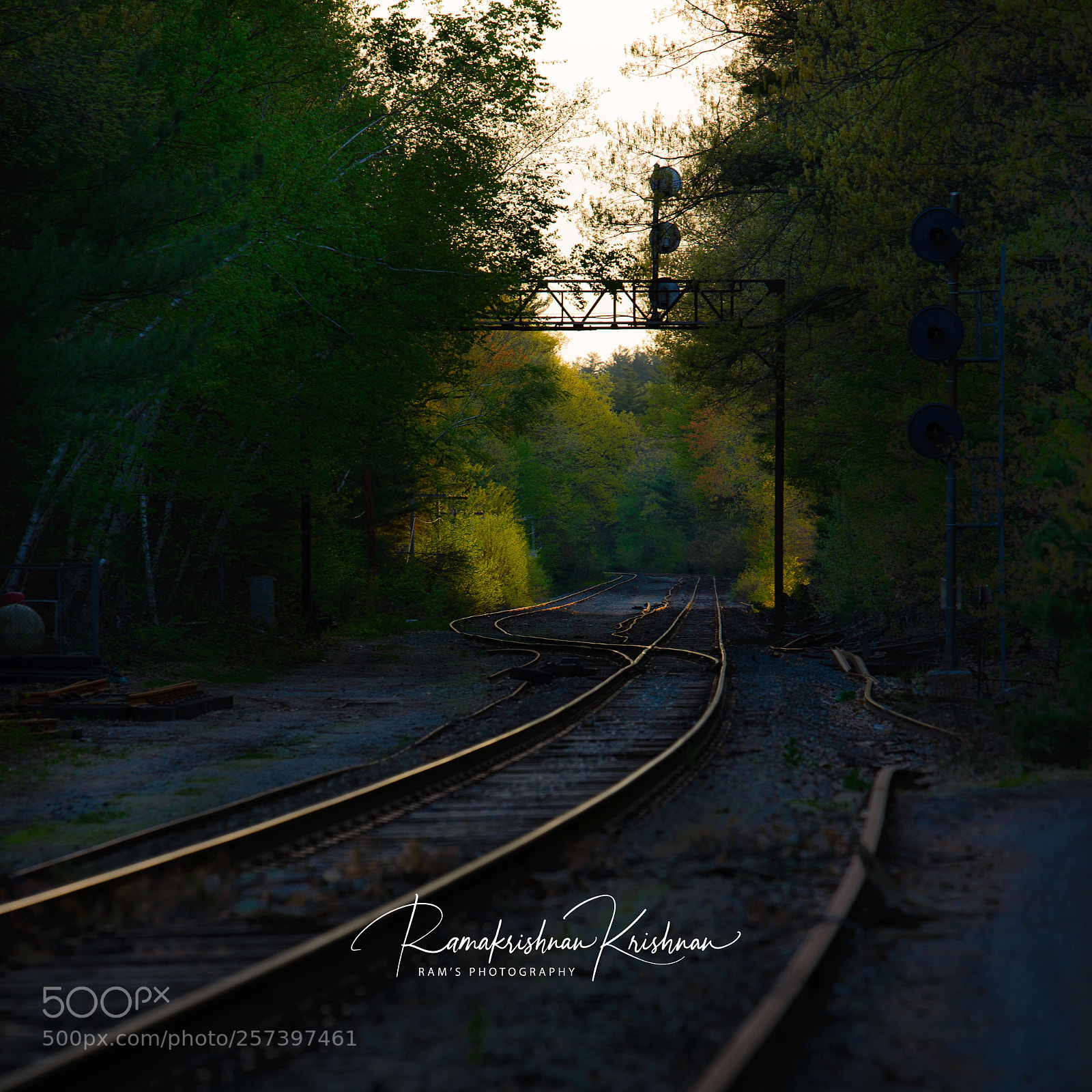 Nikon D610 sample photo. The journey  photography